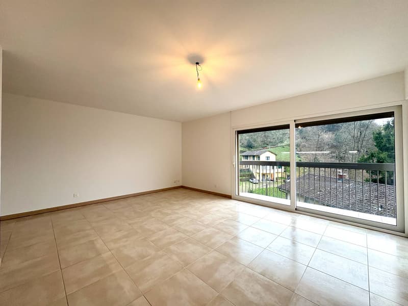 Appartamento - Viganello (2)