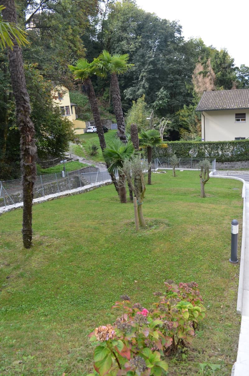 Appartamento - Viganello (8)