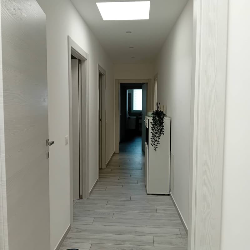 Casa a schiera - Bellinzona (9)