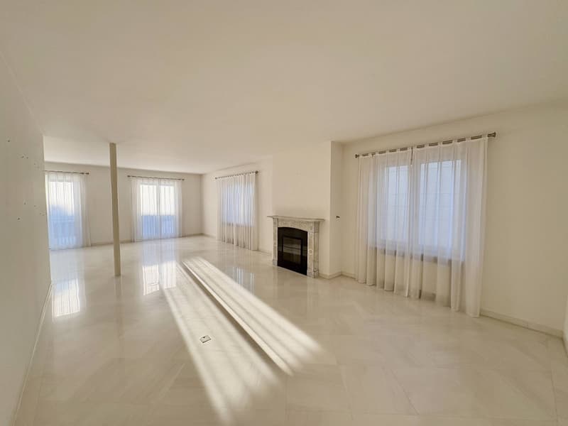 Appartamento - Lugano (2)