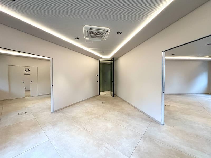 Ufficio - Lugano (10)