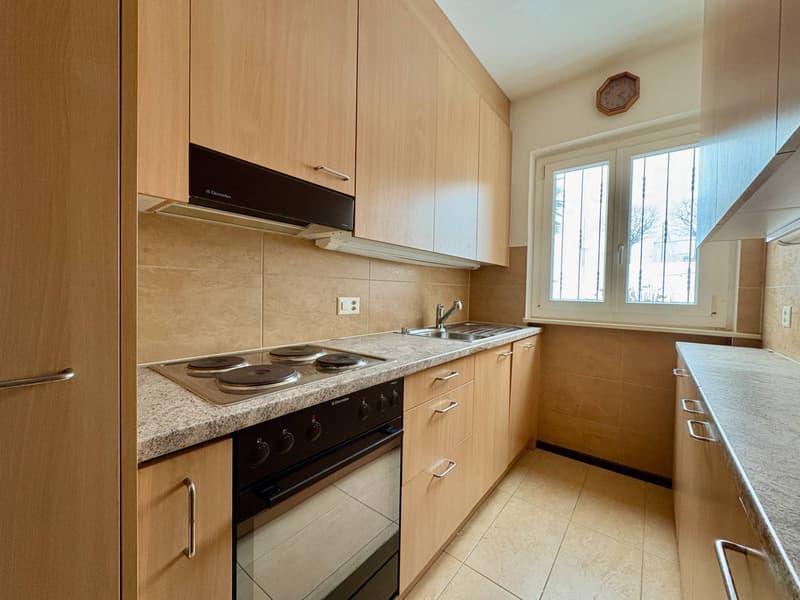 Casa bifamiliare - Comano (3)