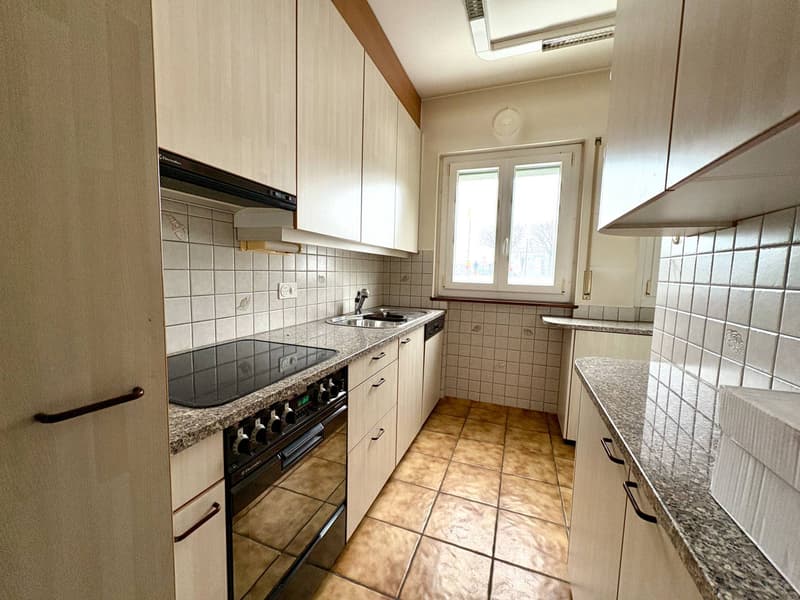 Casa bifamiliare - Comano (10)