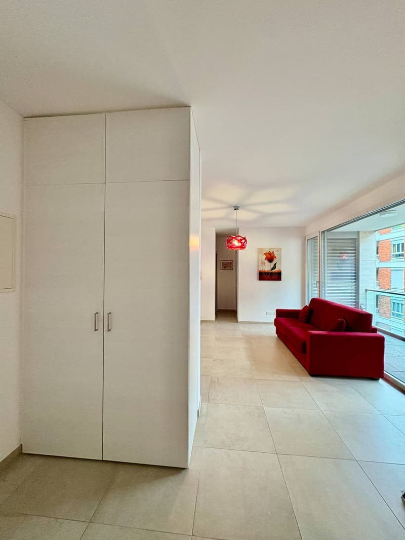 Appartamento - Lugano (4)