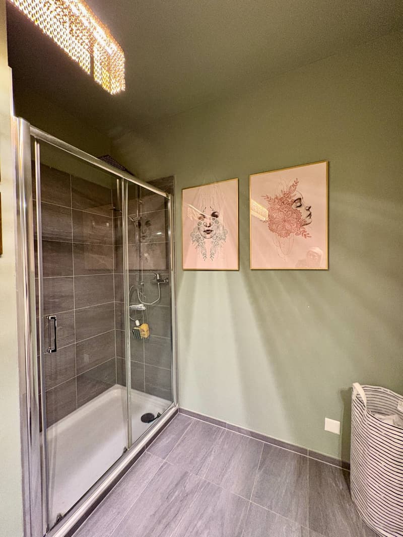 Appartamento - Lugano (11)