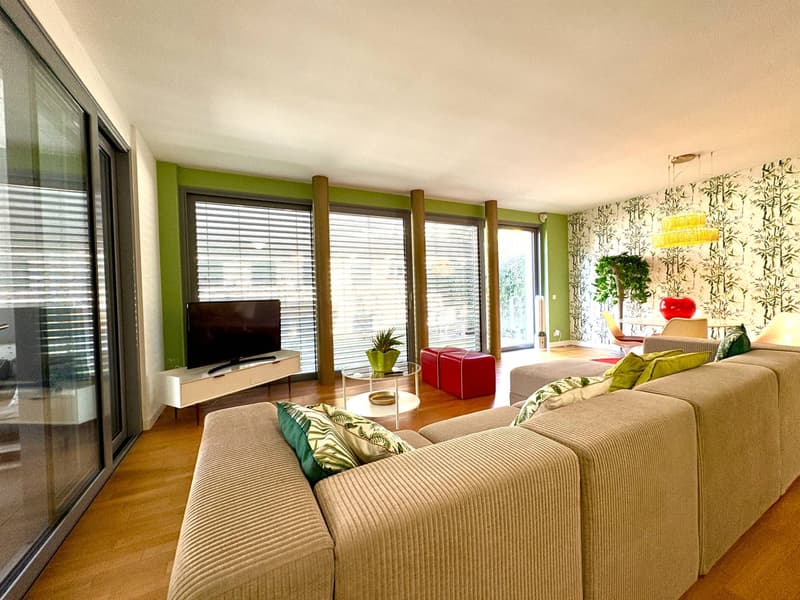Appartamento - Lugano (5)