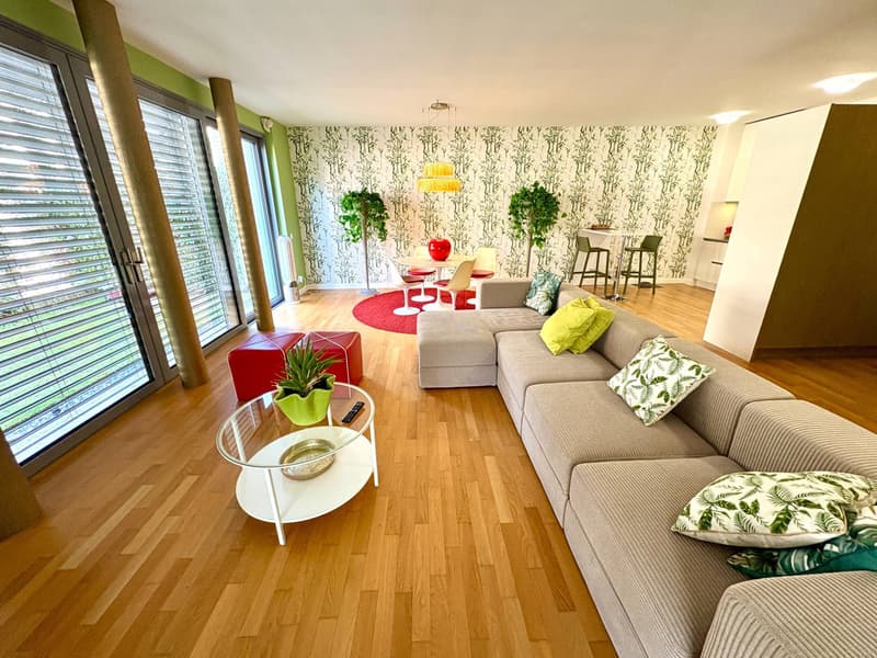 Appartamento - Lugano (4)