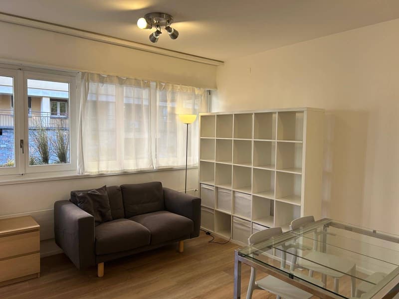Appartamento - Lugano (2)