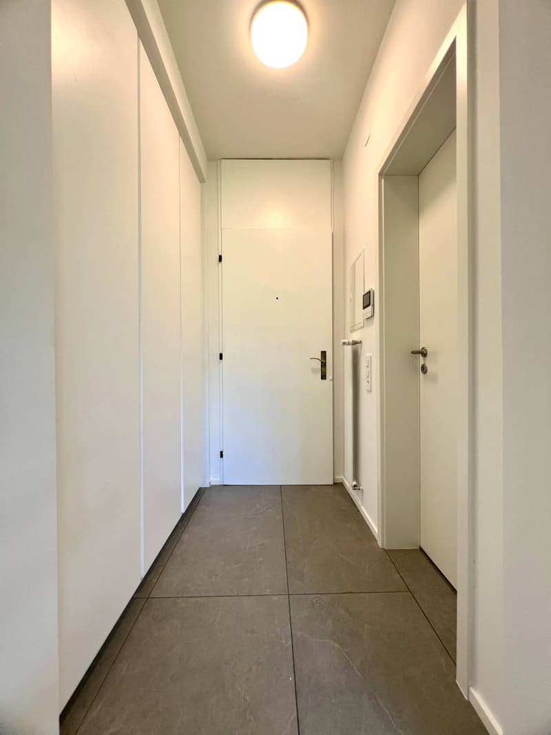 Appartamento - Lugano (4)