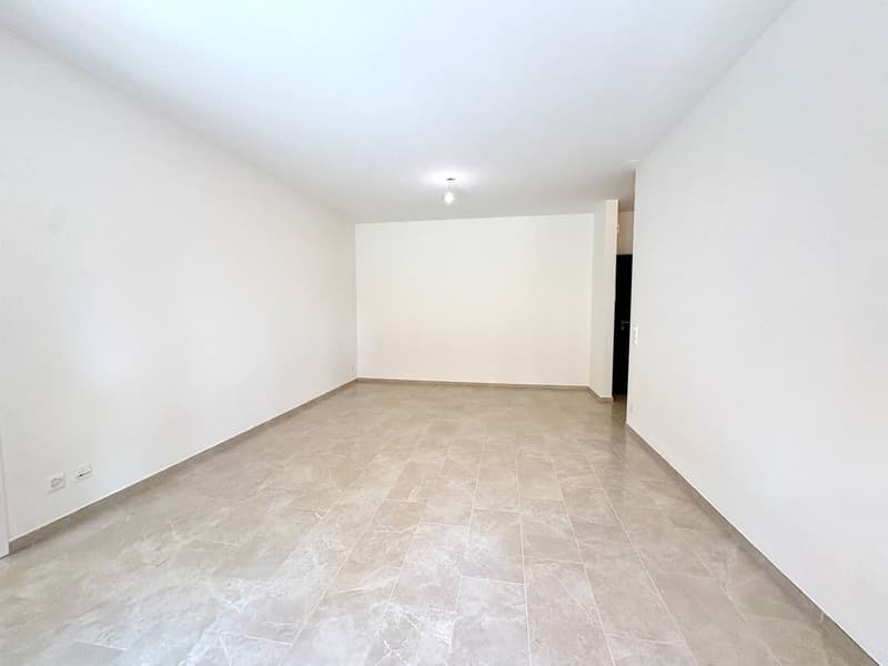Appartamento - Lugano (4)