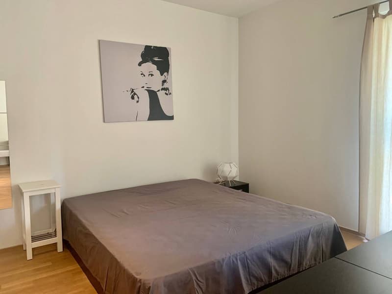 Appartamento - Lugano (6)