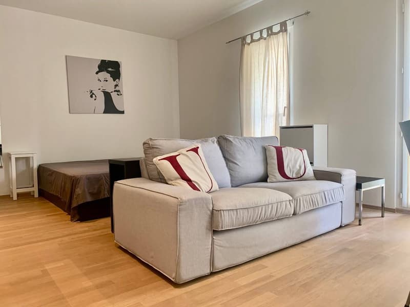 Appartamento - Lugano (4)