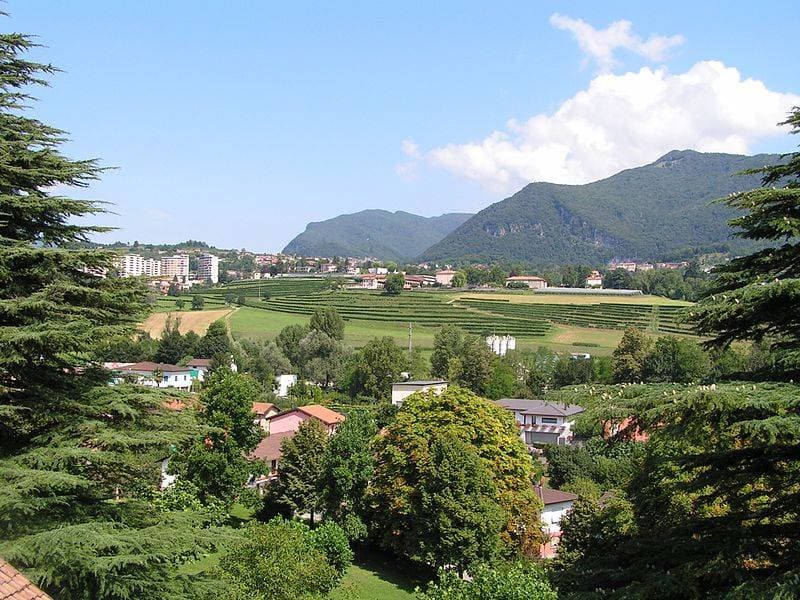Appartamento - Coldrerio (4)