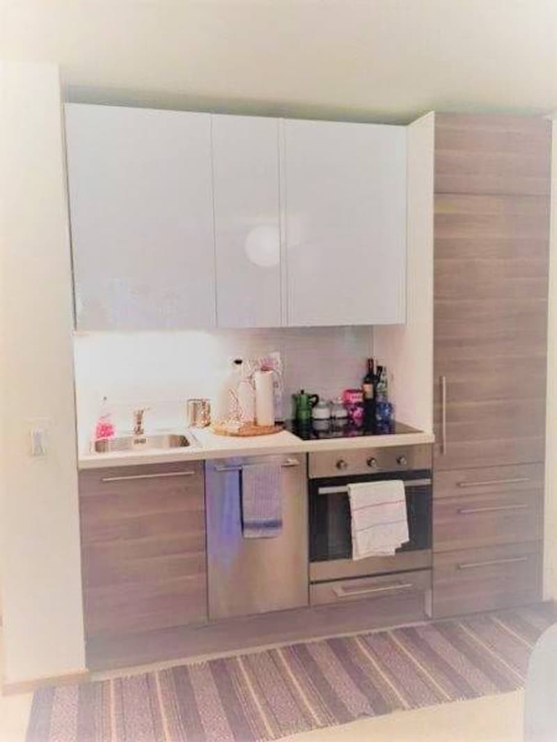 Appartamento - Lugano (4)