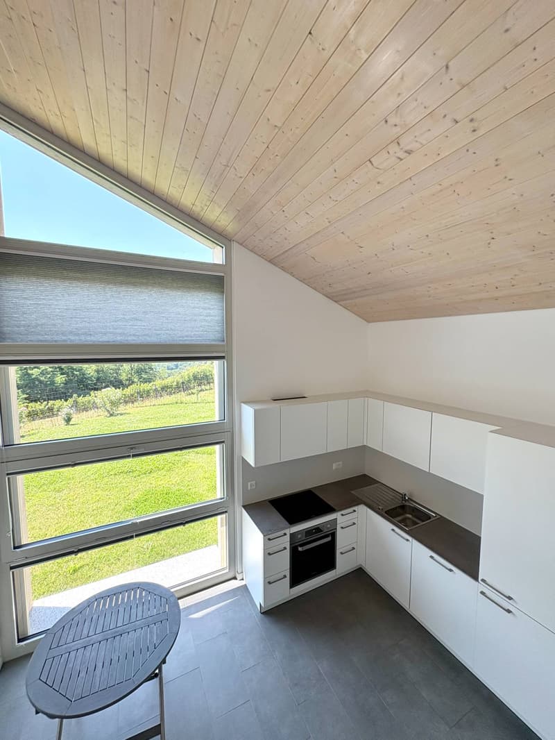 Appartamento - Monteggio (5)