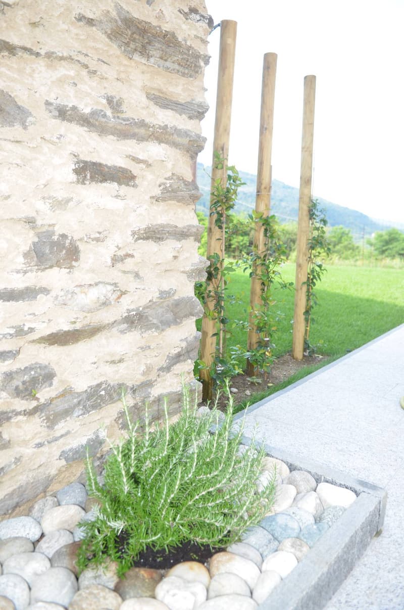 Appartamento - Monteggio (12)