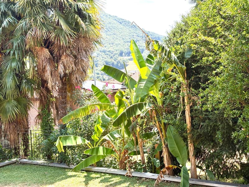 Appartamento - Gentilino (9)