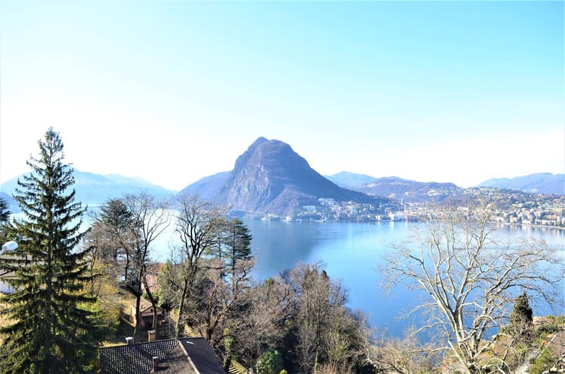 Appartamento - Lugano (2)