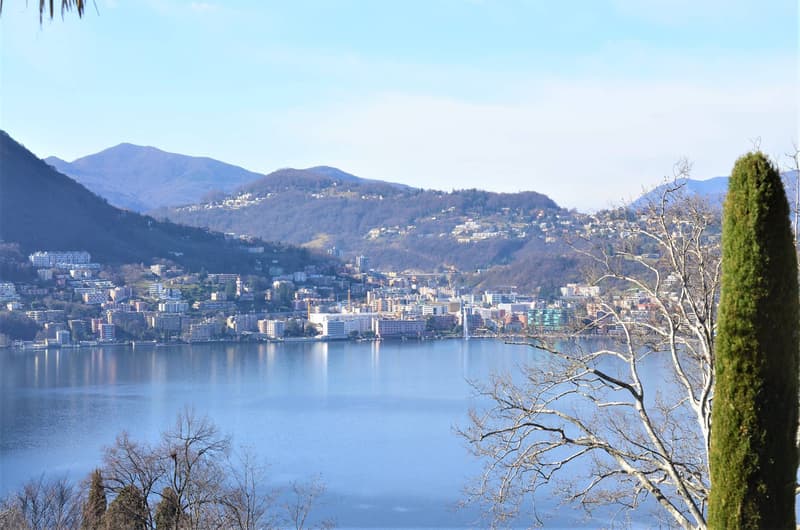 Appartamento - Lugano (3)