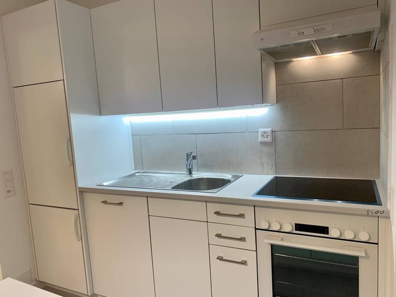 Appartamento - Stabio (3)