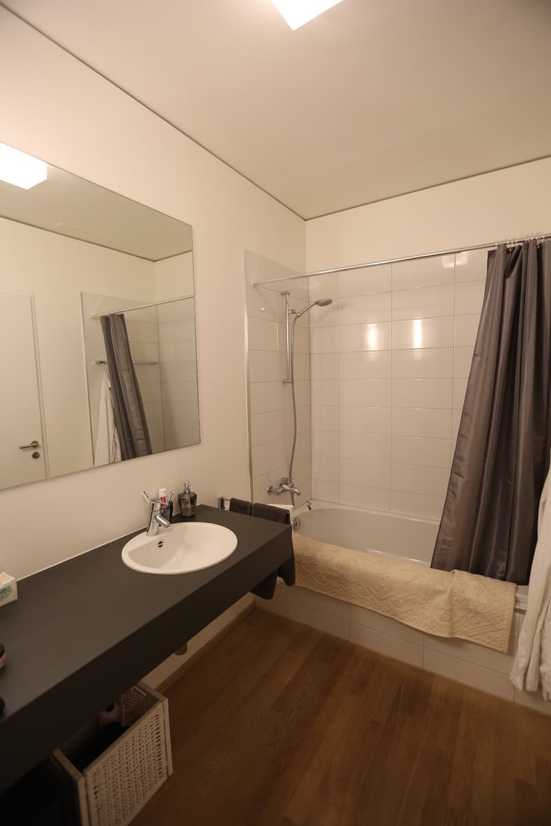 Loft - Lugano (6)