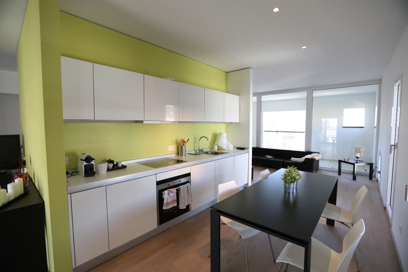 Loft - Lugano (3)