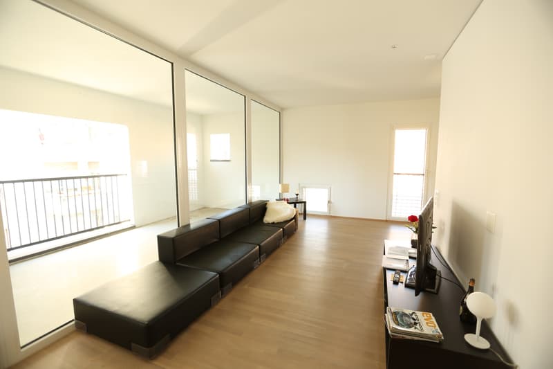 Loft - Lugano (2)