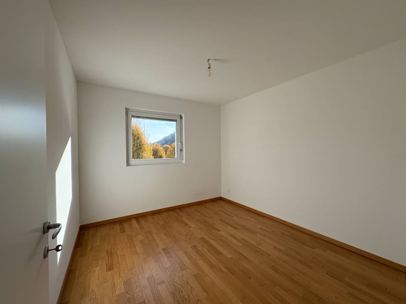 Appartamento - Chiasso (8)