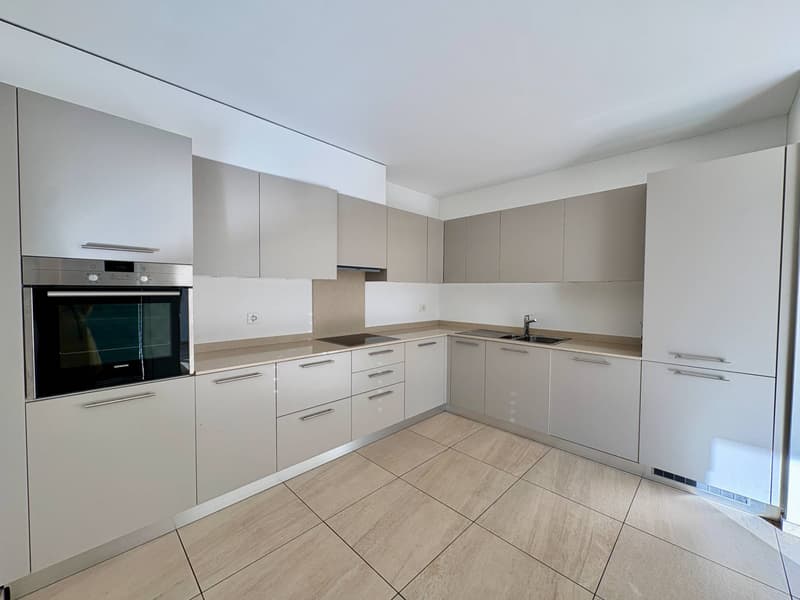 Appartamento - Chiasso (5)