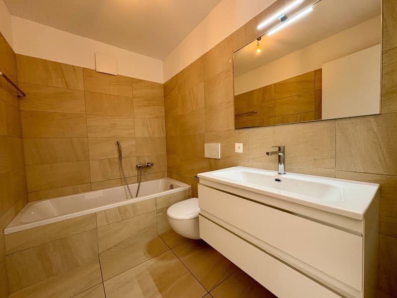 Appartamento - Chiasso (9)