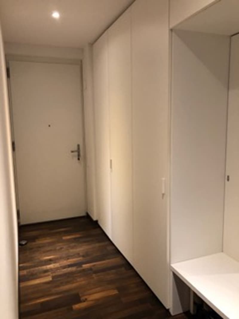 Appartamento - Lugano (4)