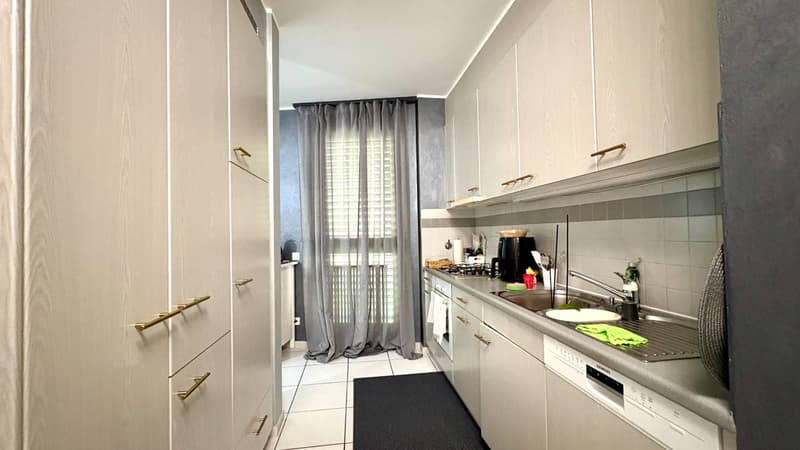 Appartamento - Lugano (6)