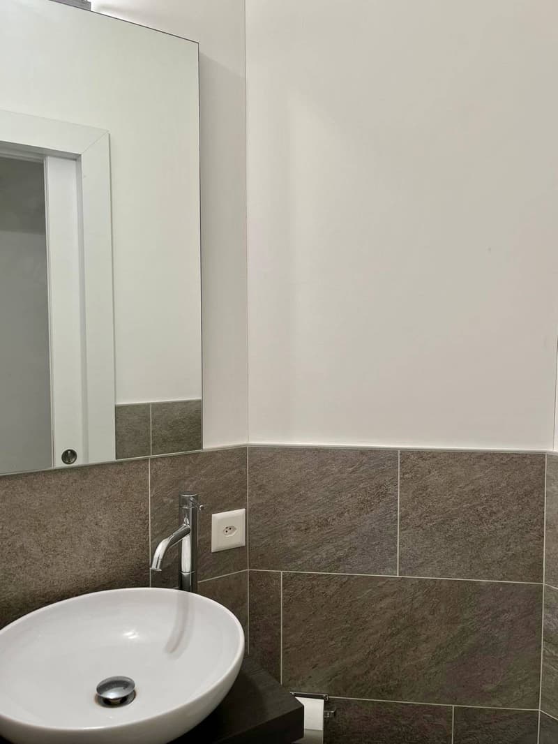 Appartamento - Lugano (3)