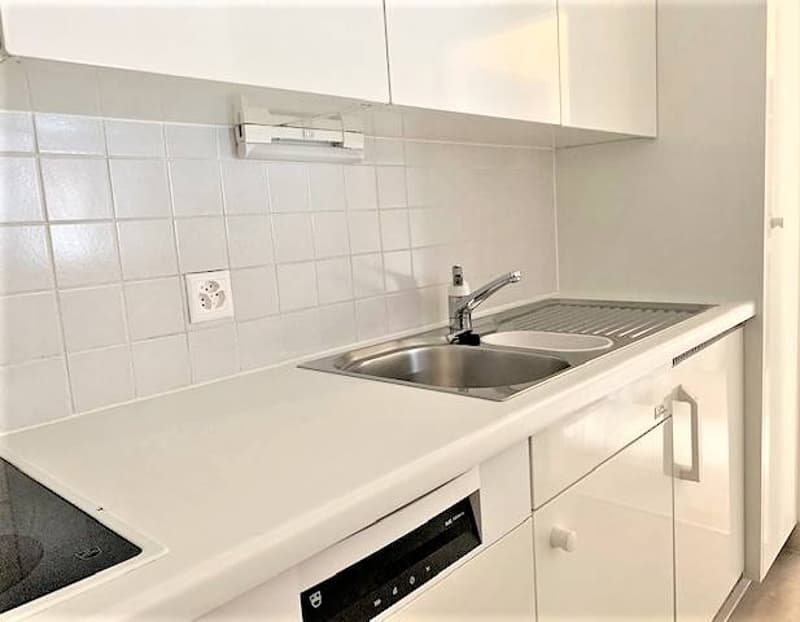 Appartamento - Lugano (5)