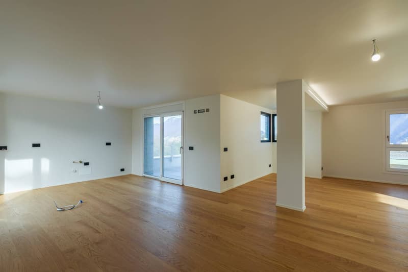Appartamento - Gentilino (3)