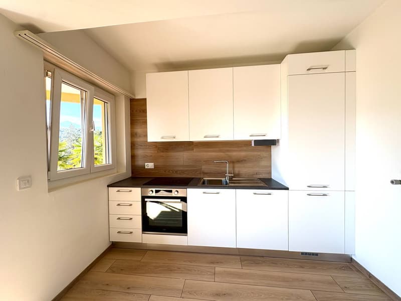 Appartamento - Lugano (4)