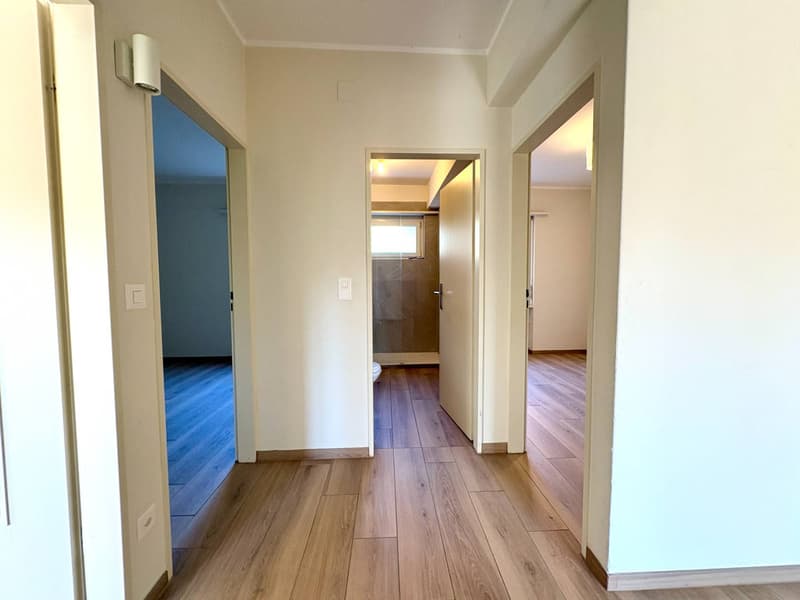 Appartamento - Lugano (9)