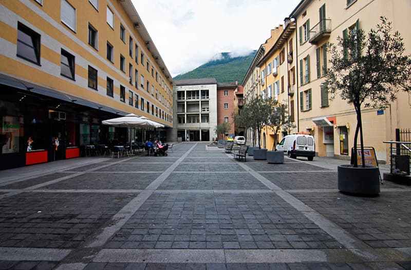 Cervo 1 (2)
