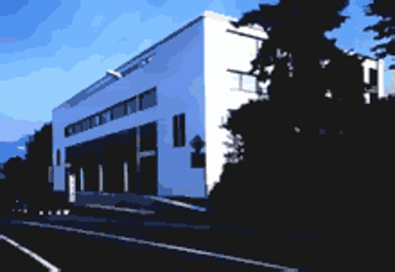 Centro Massagno (2)