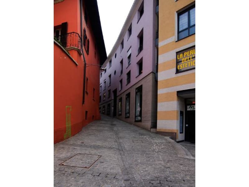 Cervo 2 (3)
