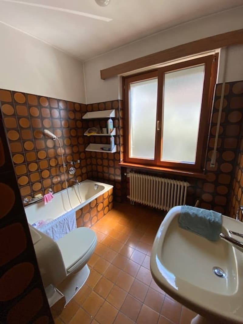 Casa unifamiliare di charme a Mendrisio con giardino privato (6)