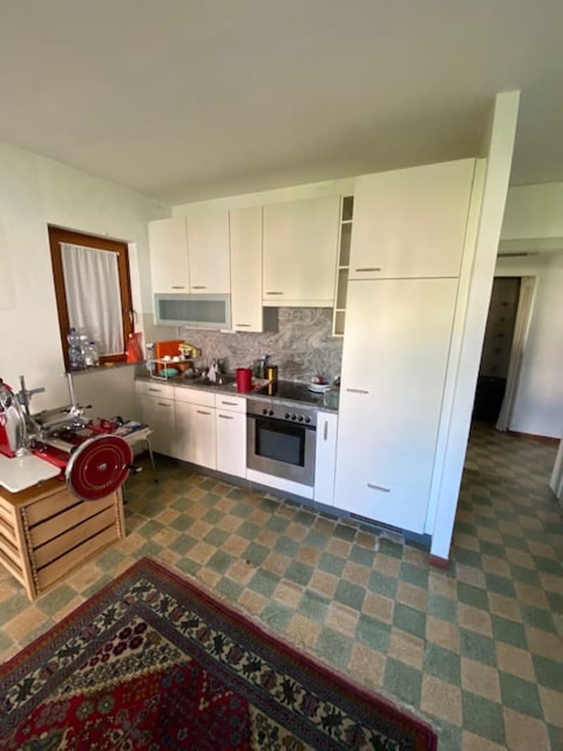 Casa unifamiliare di charme a Mendrisio con giardino privato (3)