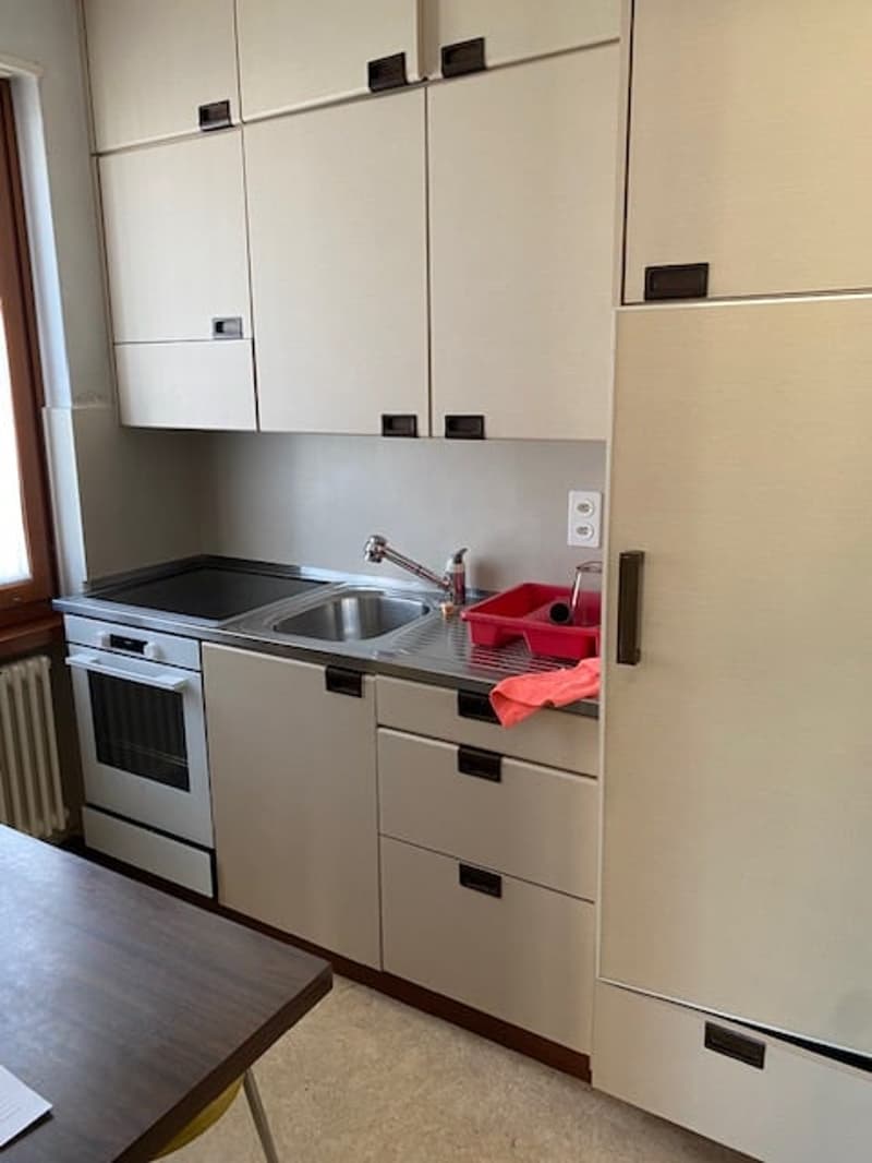 Casa unifamiliare di charme a Mendrisio con giardino privato (2)