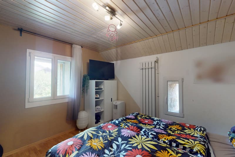 Generationenhaus mit Charme und Potenzial (8)