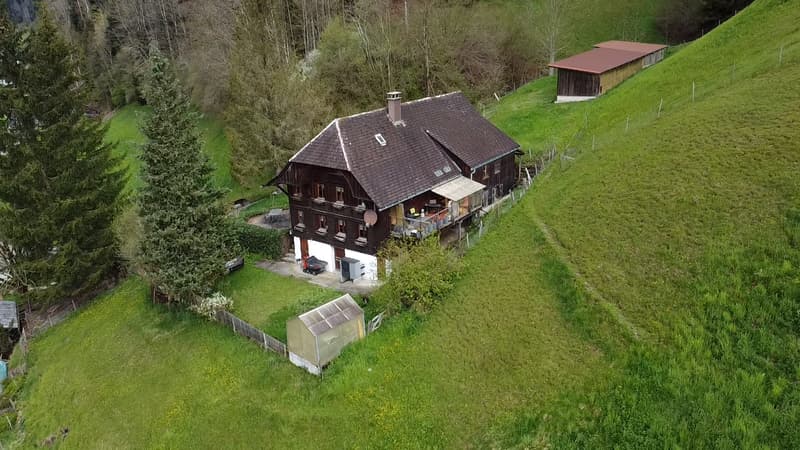 AgentSelly - Historischer Wohntraum an ruhiger Lage (2)
