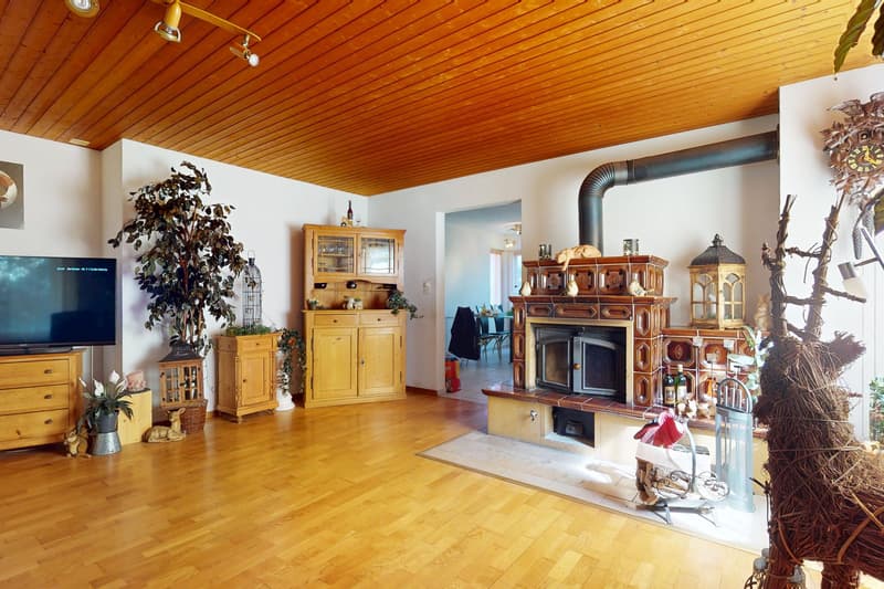 Charmante Wohnung an ruhiger Lage (5)