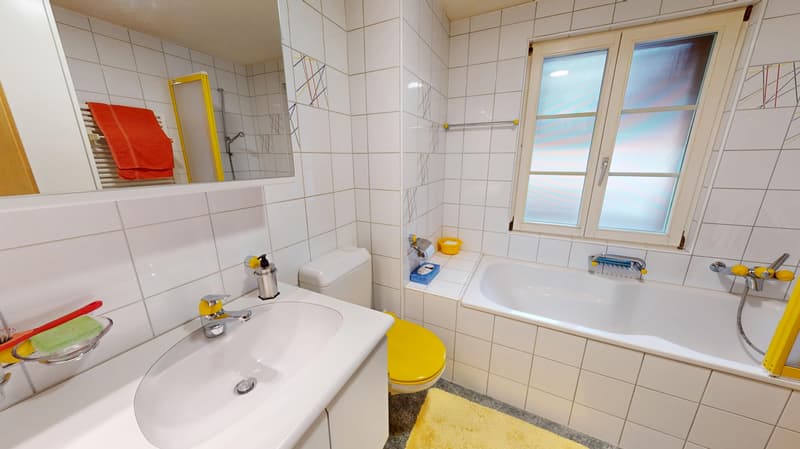 6.5-Zimmerwohnung mit viel Charakter (9)