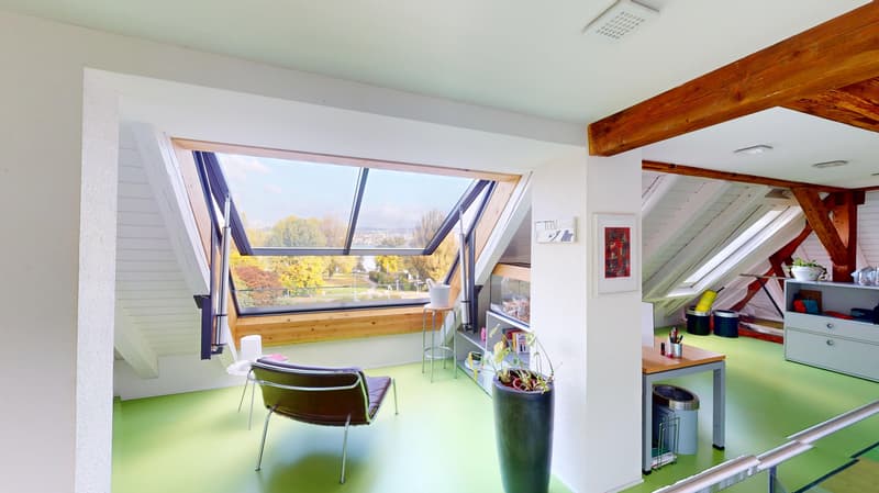 AgentSelly - Exklusive Wohnung mit Dachterrasse (5)