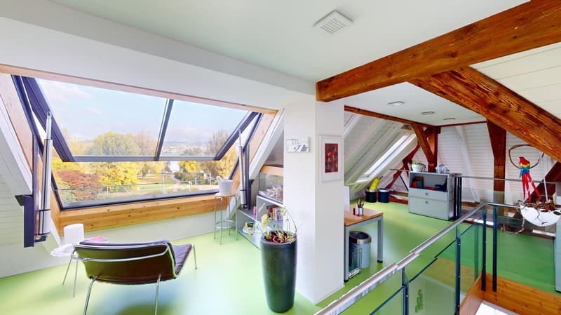 AgentSelly - Exklusive Wohnung mit Dachterrasse (6)