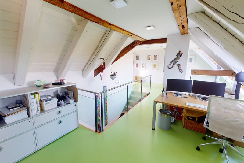 Exklusive Wohnung mit Dachterrasse (9)